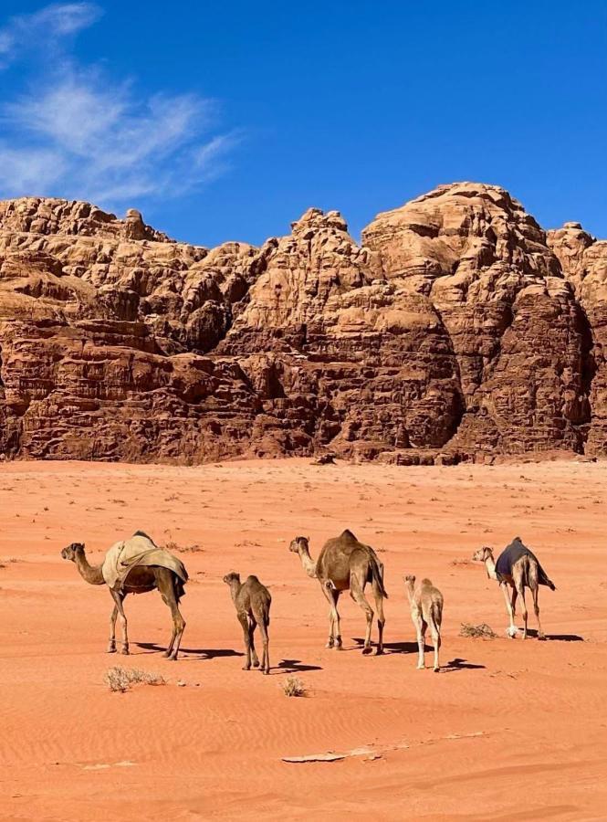 Wadi Rum Albasli Exterior photo