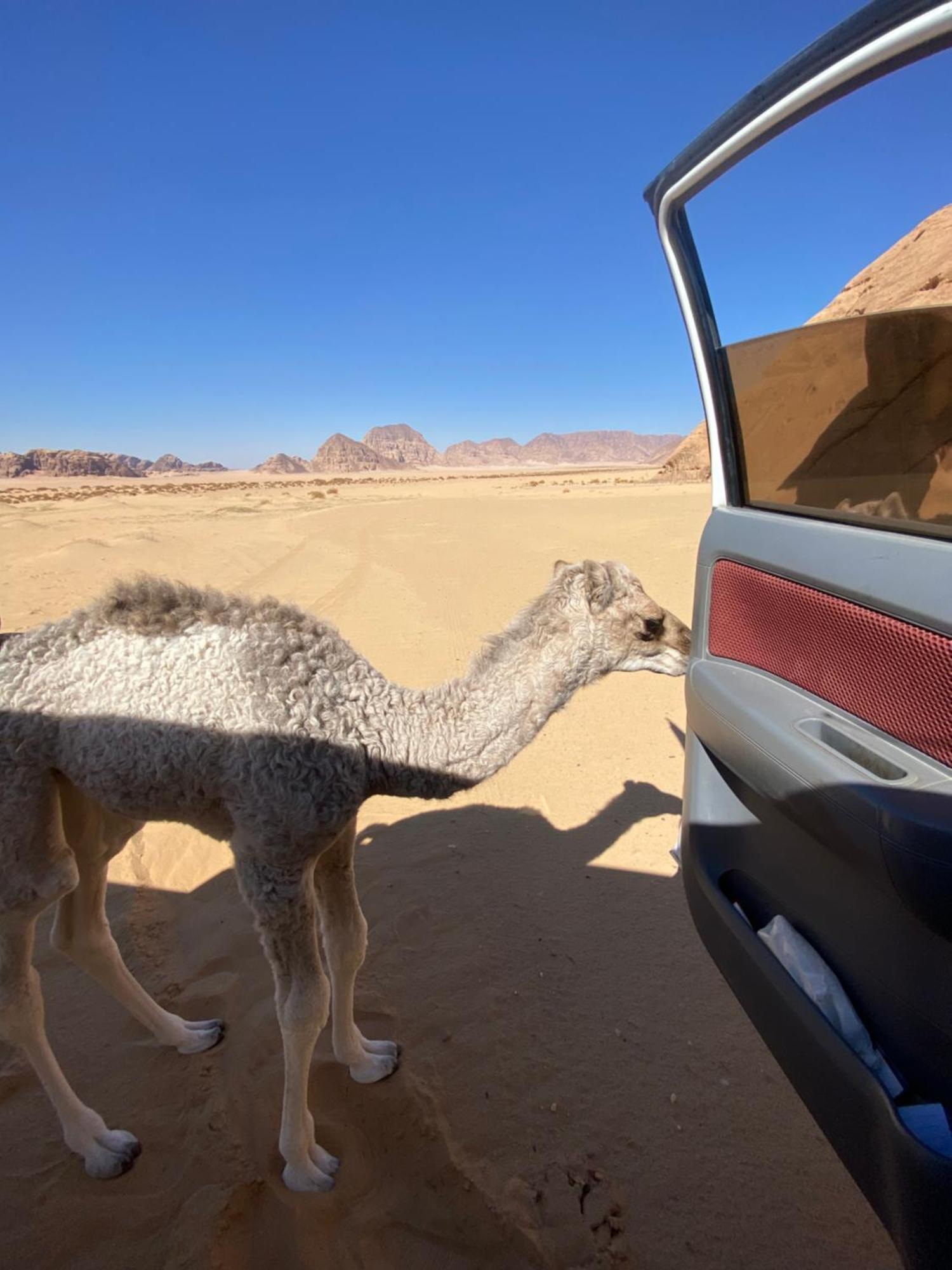 Wadi Rum Albasli Exterior photo