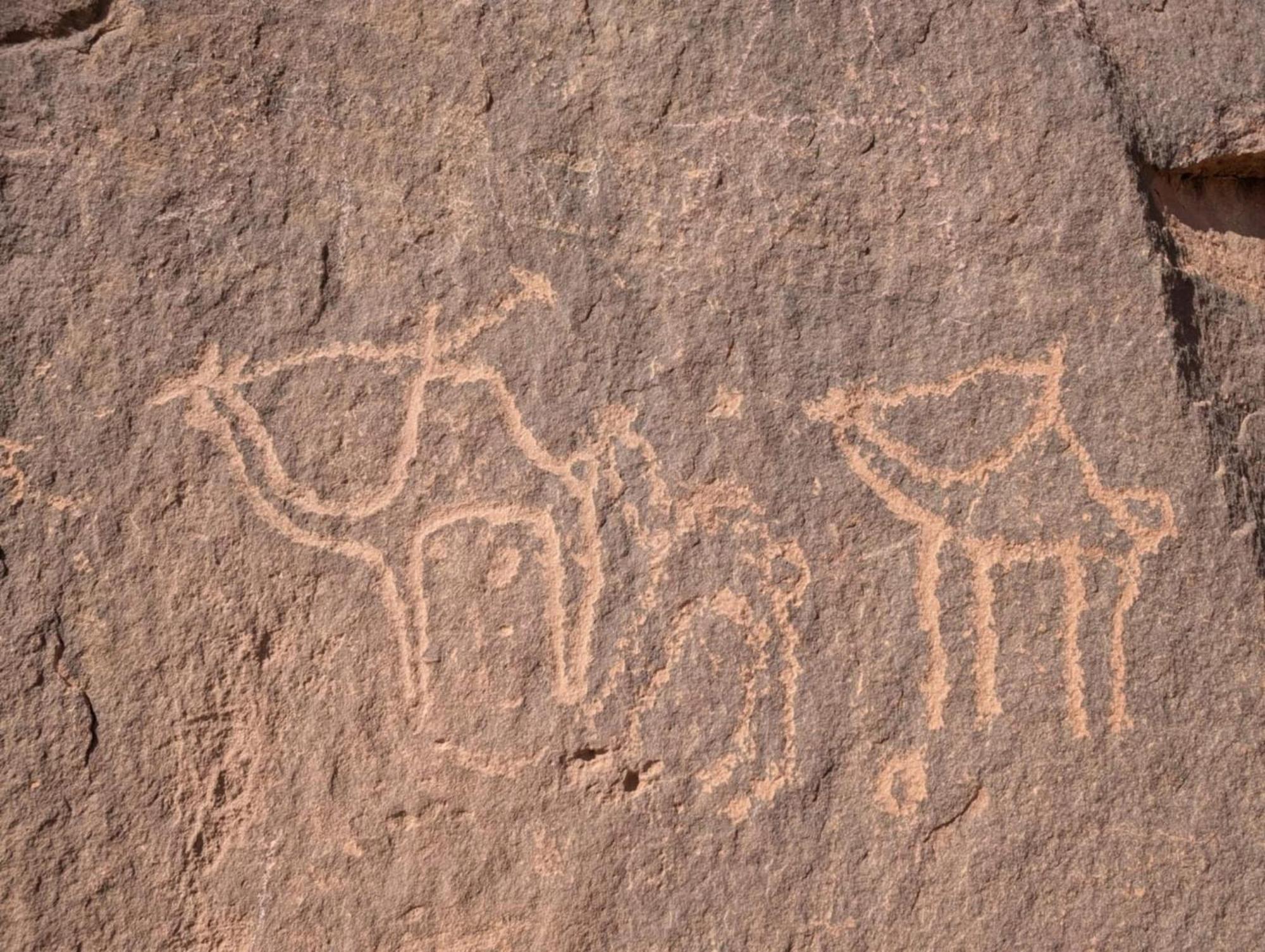 Wadi Rum Albasli Exterior photo